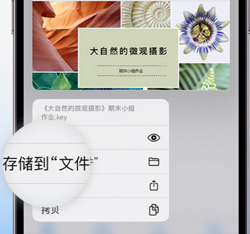 秀峰apple维修中心分享iPhone文件应用中存储和找到下载文件