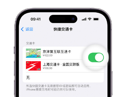 秀峰apple维修点分享iPhone上更换Apple Pay快捷交通卡手绘卡面 