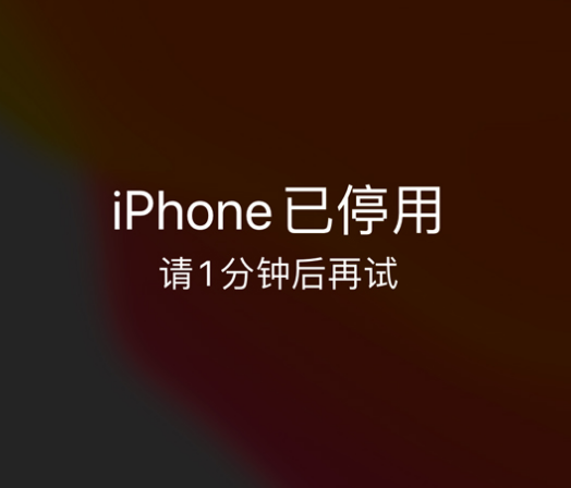 秀峰苹果手机维修分享:iPhone 显示“不可用”或“已停用”怎么办？还能保留数据吗？ 