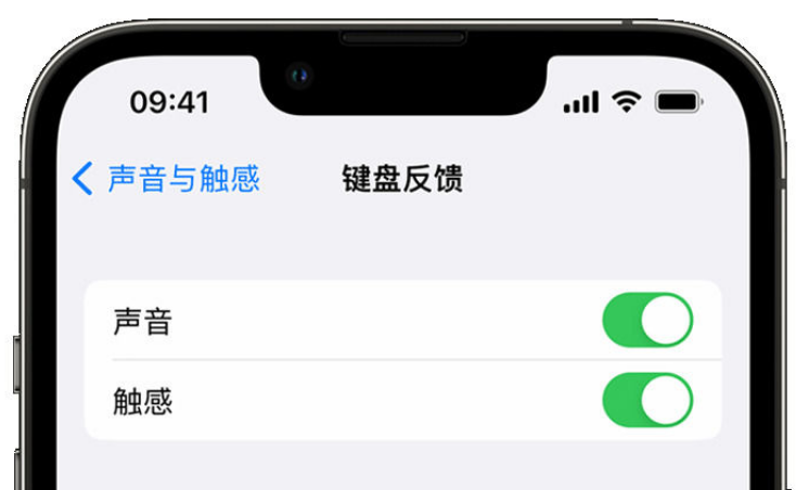 秀峰苹果手机维修分享iPhone 14触感键盘使用方法 