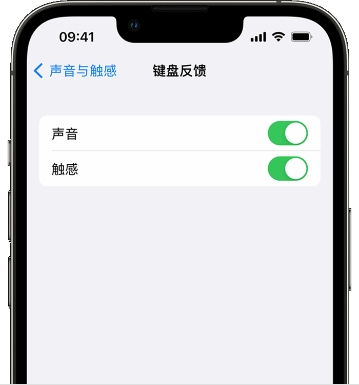 秀峰苹果14维修店分享如何在 iPhone 14 机型中使用触感键盘 