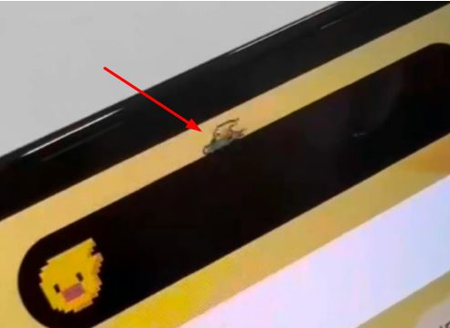 秀峰苹果14维修分享iPhone 14 Pro Max灵动岛怎么养宠物 