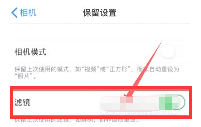 秀峰苹果13维修分享iPhone13拍照有绿点是怎么回事 