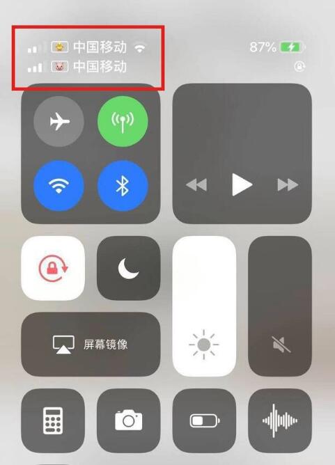 秀峰苹果手机维修分享为 iPhone 12 双卡设置标签 